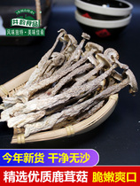 Antler Mushrooms Dry Goods Special Produce Fresh Fungus Soup Antler Mushrooms Mushrooms Crisp mushrooms Mushroom Cooking ingredients Mushrooms Commercial