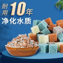 Fish Tank Filtration Material Nitrox Bacteria House Filter Material Ceramic Ring Nano Quartz Ball Filter Fish Pool Bacilli Filter