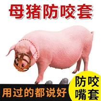 Sow anti-bite sleeve Piggy artifact Pig mouth sleeve Anti-bite sow mouth sleeve Horse cow and sheep anti-eating pig special 