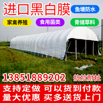 Imported black and white film Green and white film cooling reflective thickening Edible mushroom breeding insulation fish pond impermeable drip-free greenhouse film