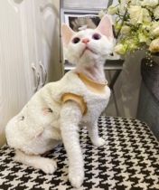 Cream is a hairless cat Sphinx Devon pet cat autumn and winter warm cold resistant wool stuffed vest