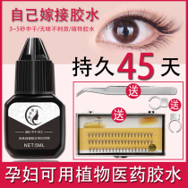 Personal grafting eyelash glue yourself open eyes False Eyes Eyelash Glue Pregnant Woman available Anti-allergenic lasting