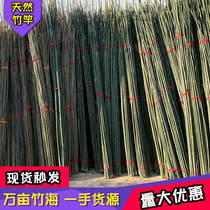 Fine bamboo pole vegetable garden rack 6 meters long anti-corrosion 2 meters 3 meters small bamboo seed bean horn cucumber rack bunting pole