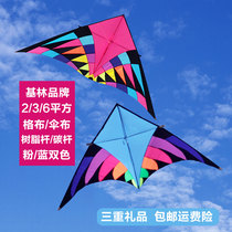 Giant kite adult kite triangle kite monster kite wire wheel 3 flat 6 flat kite