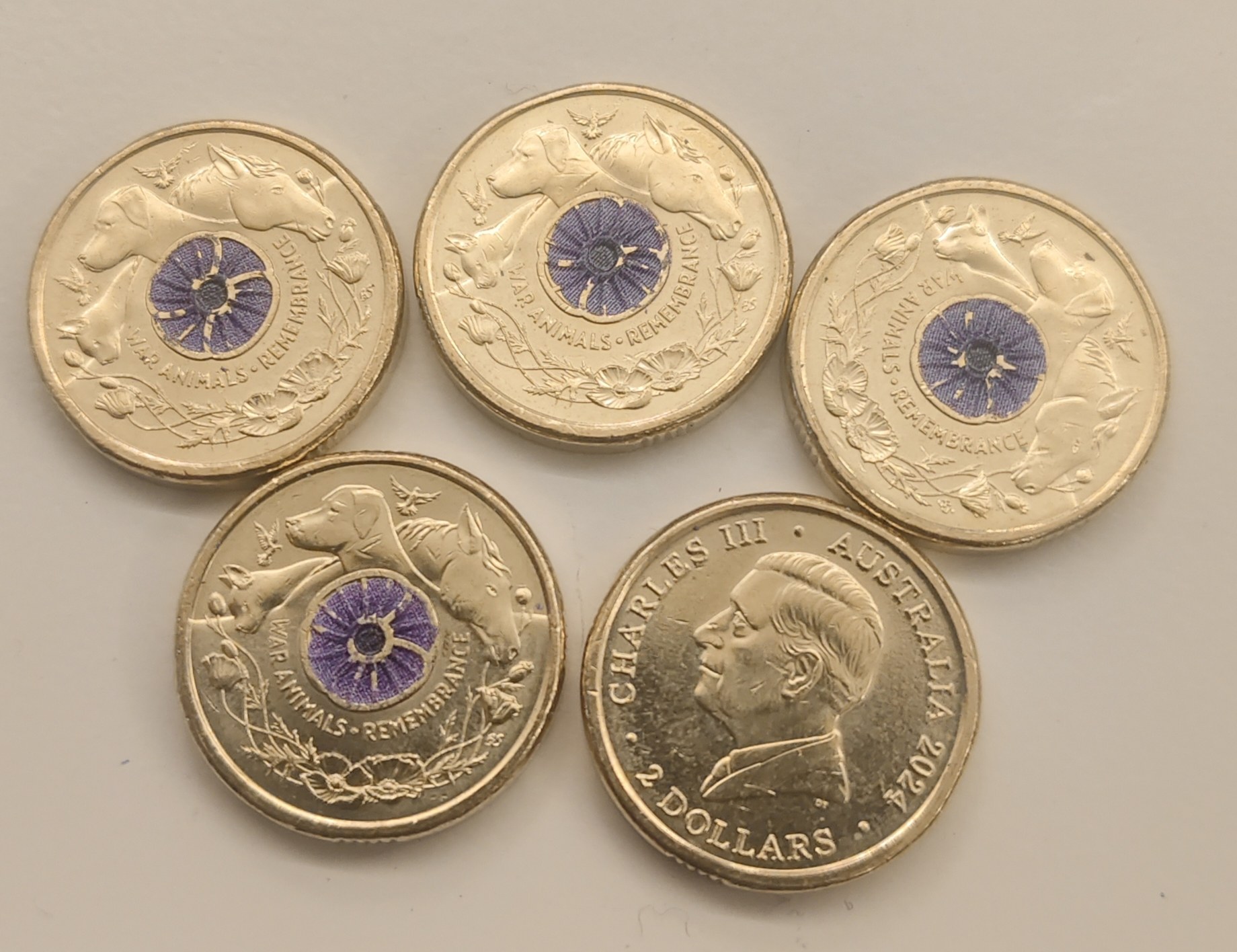 澳洲硬币-澳洲硬币促销价格、澳洲硬币品牌- 淘宝