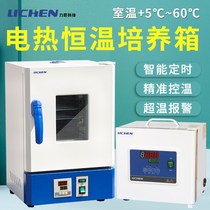 Lichen electric constant temperature incubator portable laboratory constant humidity seed germination germinating microbial biochemical cell box