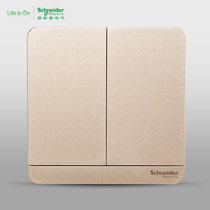 Schneider switch two-position two-open two-way self-reset contact rebound switch panel