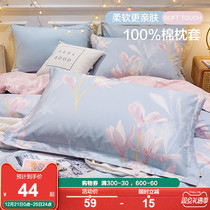 Boyang home textile cotton pillowcase One pair of cotton pillowcase 48cm × 4cm single 100 cotton anti-mite autumn and winter