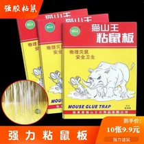 Cat mountain king strong sticky mouse board hard board strengthens thickened sticky mouse paste rodent sticker household rodent sticky mouse board
