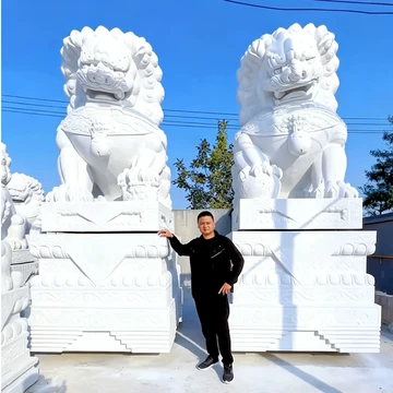 狮子白玉-狮子白玉促销价格、狮子白玉品牌- 淘宝