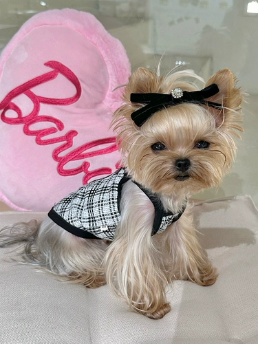 Little Sweet Cipridge Pet Service Original Pet Home Home Маленький жилет в стиле благовония маленький собачий кот новый жилет