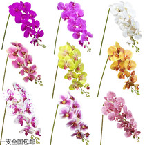 Simulation flower Phalaenopsis pu feel too glue single dry flower decoration fake flower living room table decoration orchid