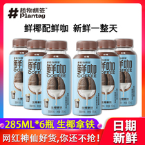 Plant label fresh coconut coconut coconut coconut milk coffee drink 285ml*6 bottles