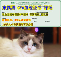 Registered Agent cat CFA certificate CFA green paper Pet pedigree certificate certificate WCF