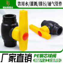 PE steel core ball valve PE ball valve PE valve HDPE pipe fittings tap water drinking water pipe fittings fittings