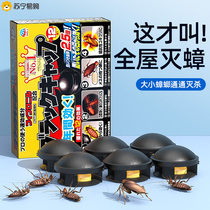 Cockroach killing medicine household indoor one pot whole nest end non-toxic glue bait pet pregnant woman baby artifact 1658