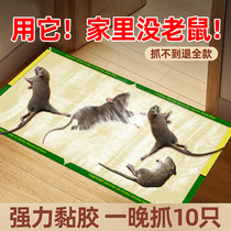 Mouse paste strong sticky mouse board household strong glue big mouse nest end thickened mouse trap 2563