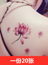 Hipster Lotus Lotus Lotus realistic tattoo sticker waterproof female sexy tattoo sticker cover scar lasting other shore flower