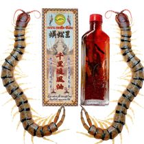 Hong Kong centipede Wang Qianli chasing wind oil to drive wind off wet lumbar spine cervical strain falling live oil 45ml