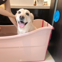 Ask for directions Folding bath tub Medicine bath tub Large dog Medium and small dog Cat bath tub Bath tub