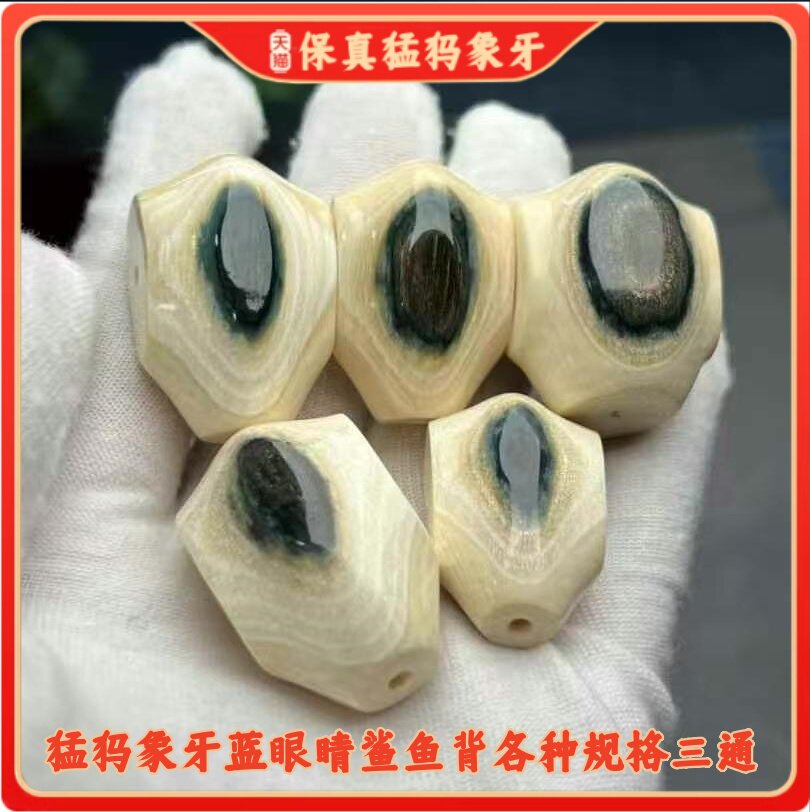 猛犸象牙三通配件-猛犸象牙三通配件促销价格、猛犸象牙三通配件品牌- 淘宝