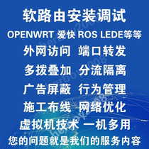 Soft Router openwrt Love Fast Installation Commissioning Service IP Anti-leakage DNS hidden and other debugging services