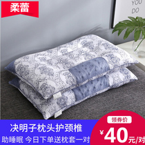 Semen Cassiae Pillow Double Care Cervical Spine Assistance Sleep Pillow Core Pair of clothes Home with pillowcase hard not to collapse and not deformed