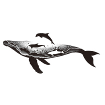 Whale Ocean Tattoo Sticker Diablo Ins Wind Waterproof Lasting Men and Women Small Flower Arm Whale Tattoo Sticker
