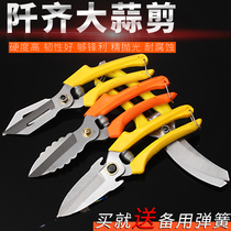 Garlic special scissors garlic scissors garlic scissors garlic Scissors Factory Direct New