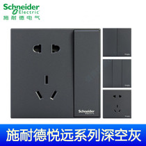 Schneider pleasing far dark grey 16A air conditioning frosted sub-light panel double control switch 45-hole socket USB network