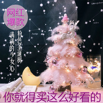 2021 New Christmas tree Net red ins pink feather Christmas tree mini desktop ornaments decoration glowing gift
