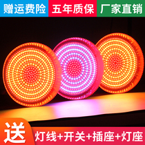 LED fresh lamp stewed vegetable deli lamp stewed meat shop special lamp pork lamp supermarket fruit fresh meat selling meat seafood lamp