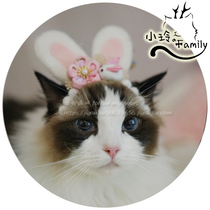  Xiaolings family handmade DIY Mid-Autumn Moon rabbit and wind dog hat Cat headdress Pet headgear headdress funny