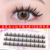 Thick Fairy female subsection grafting sandwich soft fairies female single cluster eyelash segmental fish tail Eyelash Comic Eyelash