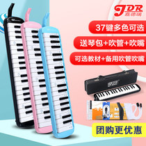 Guardian organ 37 key primary school students with professional playing wind instruments beginner children adult men and women