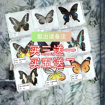 展翅蝴蝶标本-展翅蝴蝶标本促销价格、展翅蝴蝶标本品牌- 淘宝