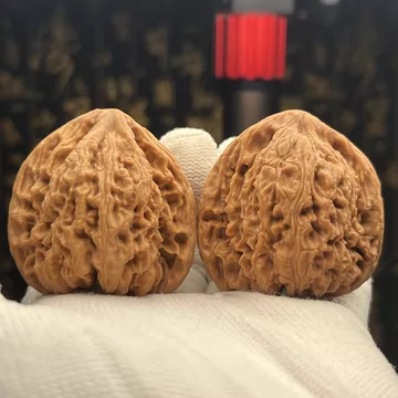 老树南疆石核桃-老树南疆石核桃促销价格、老树南疆石核桃品牌- 淘宝