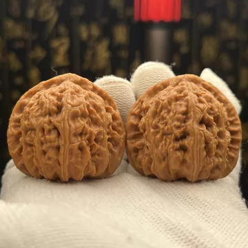 三角白狮子核桃一物一图-三角白狮子核桃一物一图促销价格、三角白狮子