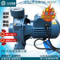 Large Meta IQ Centrifugal Pump Pumping Water Pump Agricultural Irrigation Industrial Sewerage Pump Large Flow 2 Inch 3 Inch 4 Inch Single Phase Three Phase