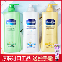 Vaseline body milk womens summer whitening moisturizing refreshing aloe vera nicotinamide moisturizing fragrance Full body hydration summer