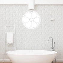 Grammy wallpaper Holland original imported modern style Grissa 218900 wallpaper