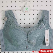 Clouds 21 years of autumn and winter underwear women sexy lace gathered thin models without steel ring vest bra AB112505