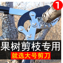 Garden pruner prunes branches special scissors fruit trees coarse branches cut large scissors gardening prunes pruning branches
