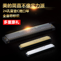 Morning Glory harmonica 24-hole polyphonic beginner children student playing introductory c-tune instrument