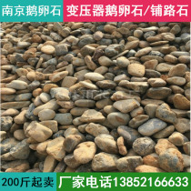 Nanjing River Beach Stone Big Pebble Black Gravel Water Wash Filter Material Stone Garden Pavement Landscape Stone