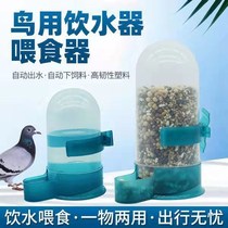  Pigeon supplies parrots eight pigeons wrens automatic drinking fountains kettles automatic feeding feeders bird food sinks