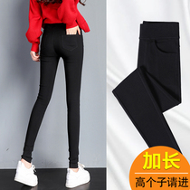 Lengthened beating underpants female outside wearing spring and autumn season thin section high sub super long high waist tight body black pencil small foot pants