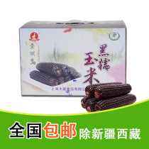 Daying Chongming black glutinous corn 2kg black corn cob vacuum packaging non-GMO sweet corn black coarse grains