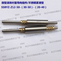 SSBYZ-Z12-50-(30-50)-(20-40) Compact Miniature Ball Bushing Guide Assembly