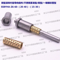 SSBYHA-Z6-60-(20-40)-(15-30) Miniature Ball Bushing Guide Assembly
